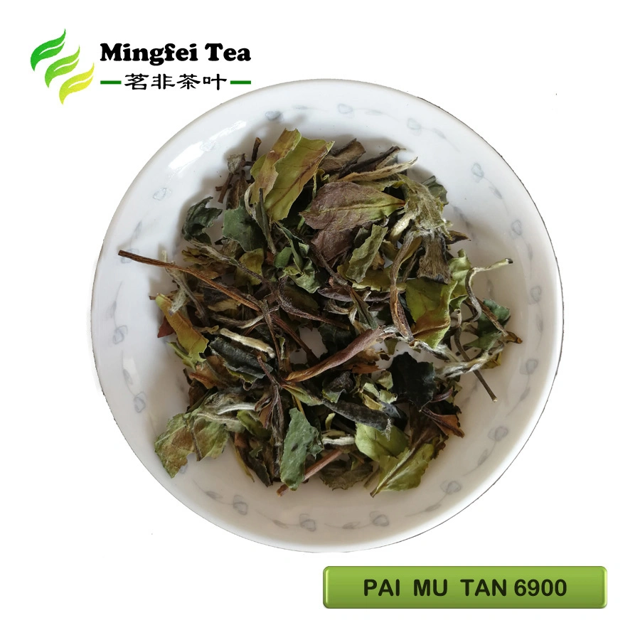 White Peony Tea White Tea Chinese Green tea Best Fermented Organic PAI MU TAN 6900/6902/6903 (Europe/America)